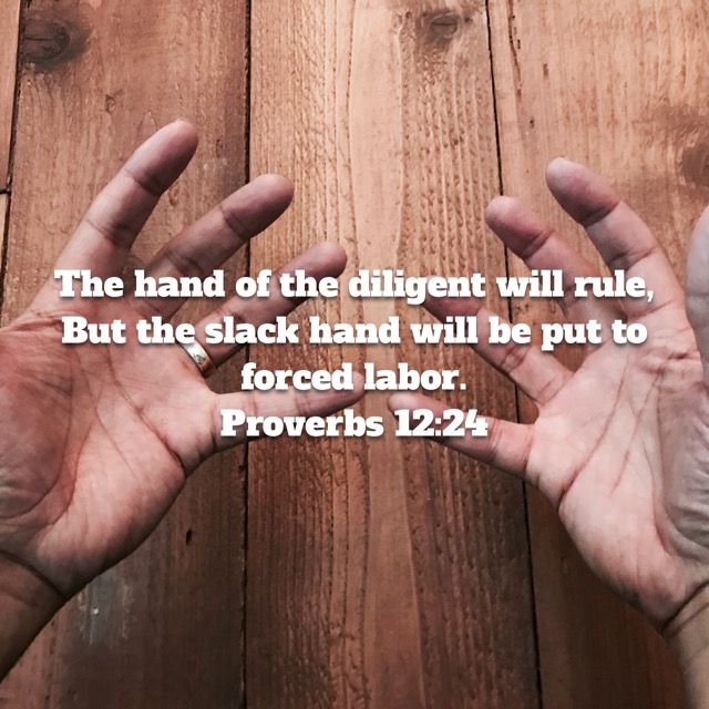 Proverbs 12:24